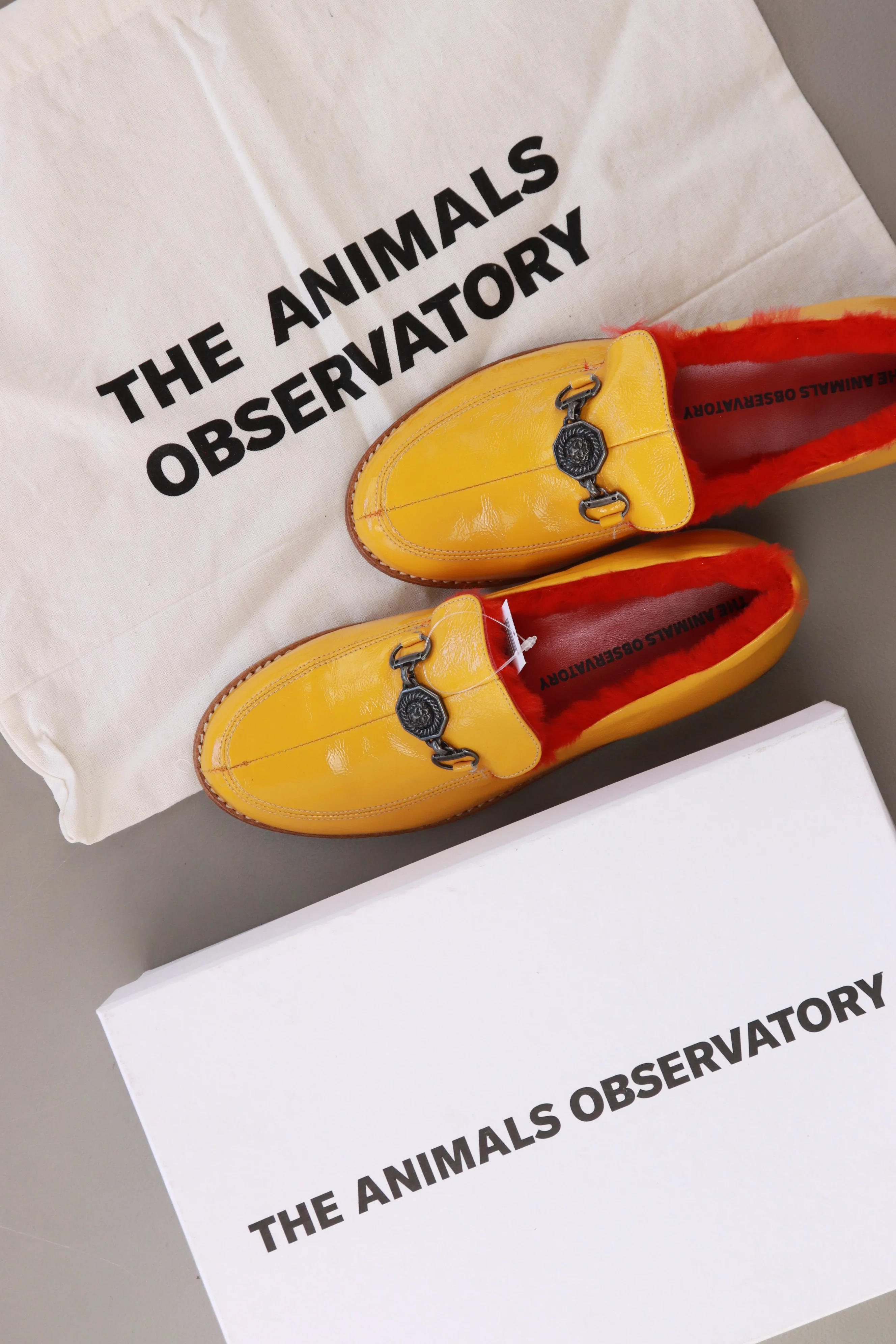 The Animal Observatory donkey kids shoes Schuhe gelb Größe 36 neu mit Etikett - Image 5